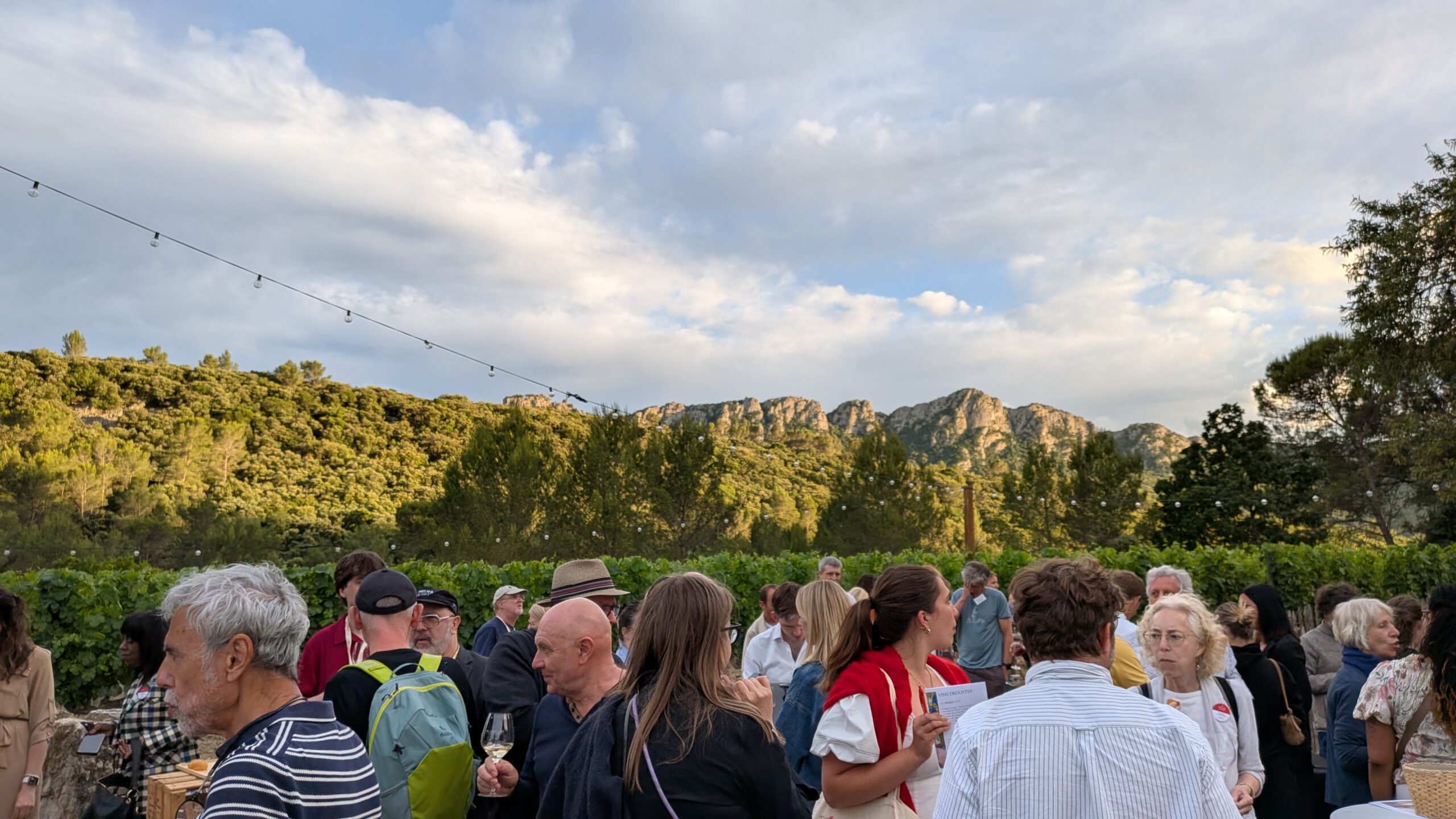 Vinsmagning i Pic Saint-Loup i Languedoc