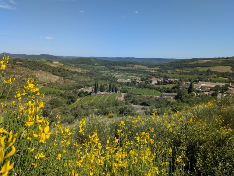domaine cambis