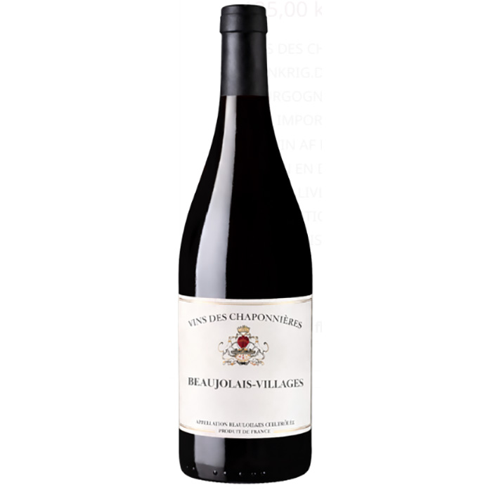 BeaujolaisVinoVida