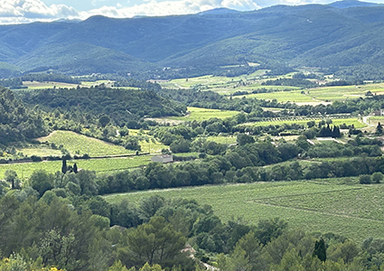 Languedoc