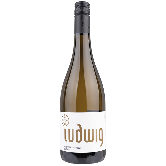 LudwigHolte