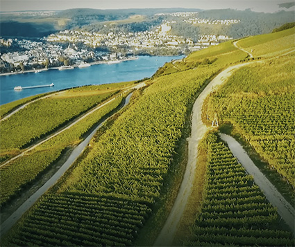 Her ses en lille bid af den rute i Rheingau, som deltagerne til maratonet skal løbe.