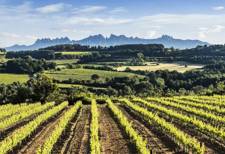 Penedes