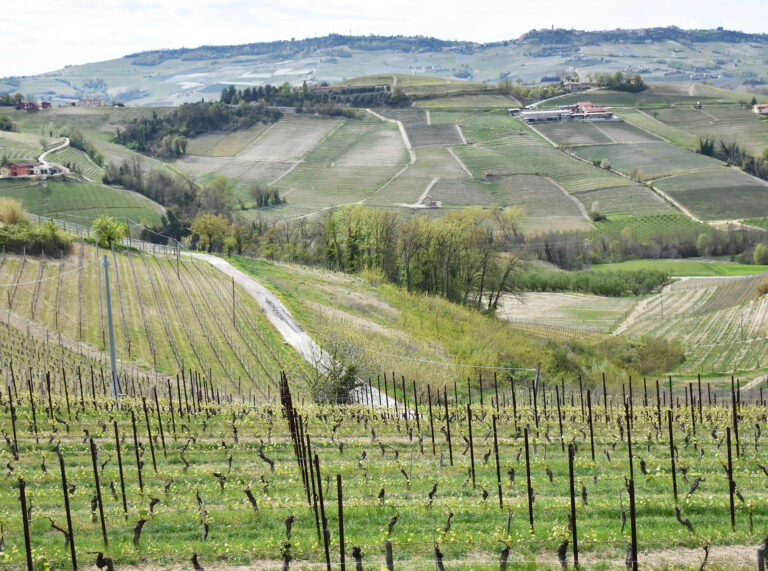Piemonte