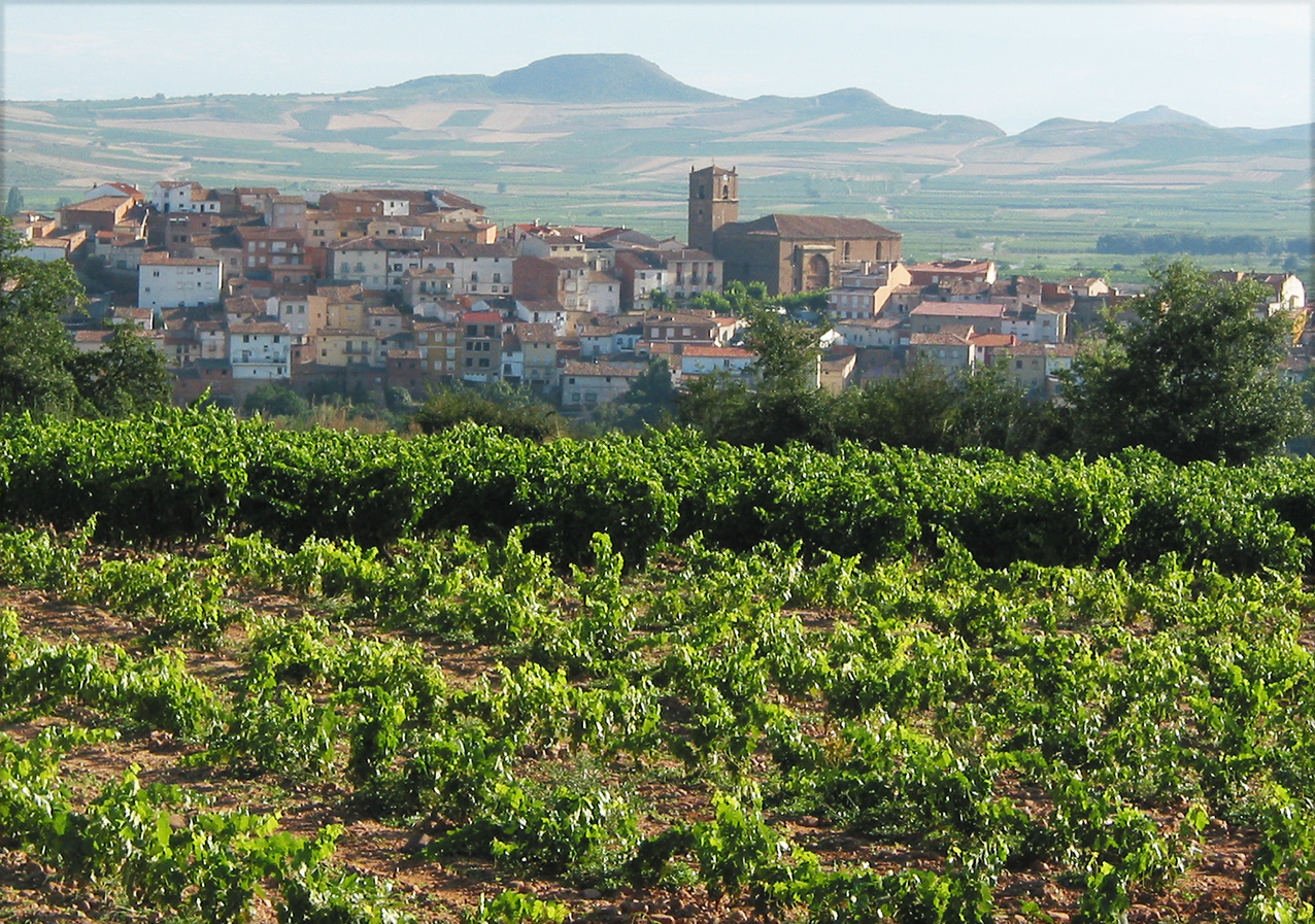 Vinmarker i Rioja med landsbyen Entrena i baggrunden. Foto: Wikipedia/Gurrea.