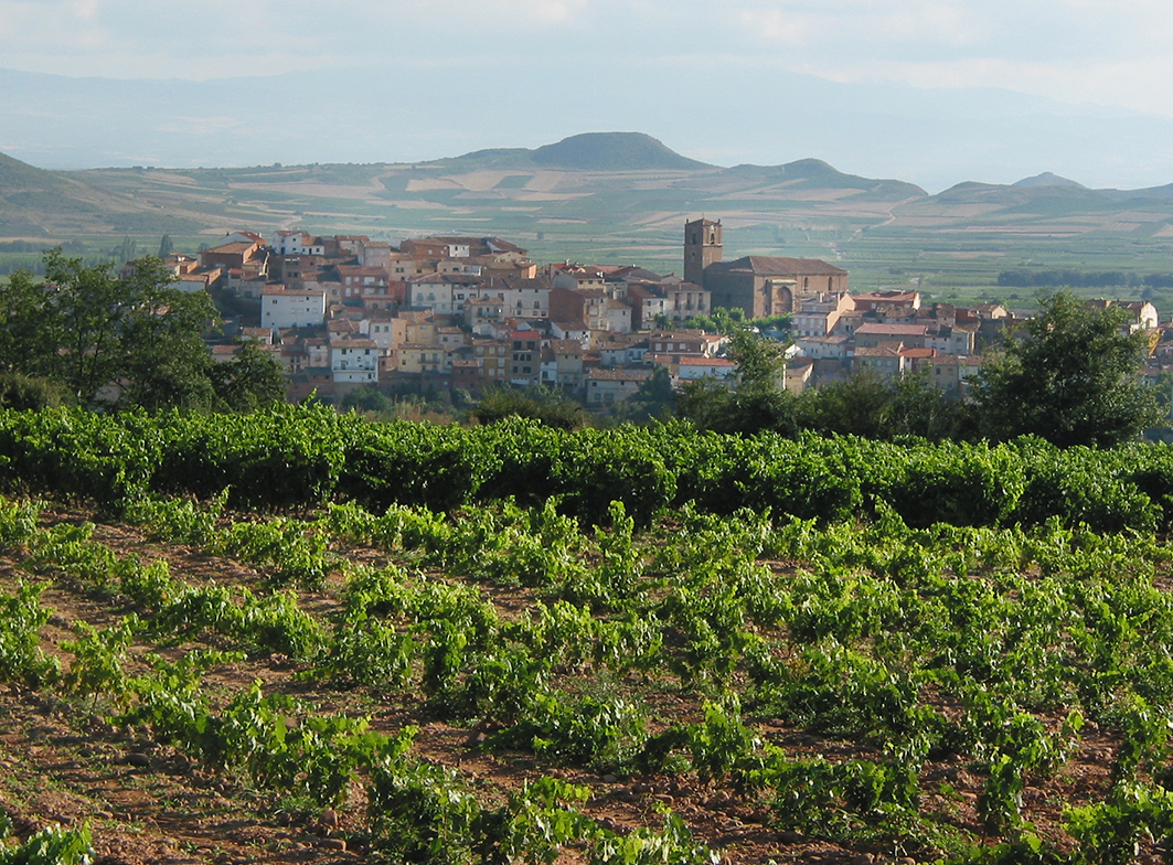 Udsigt over vinmarker i La Rioja med byen Entrena i baggrunden. Foto: Wikipedia/Gurrea.