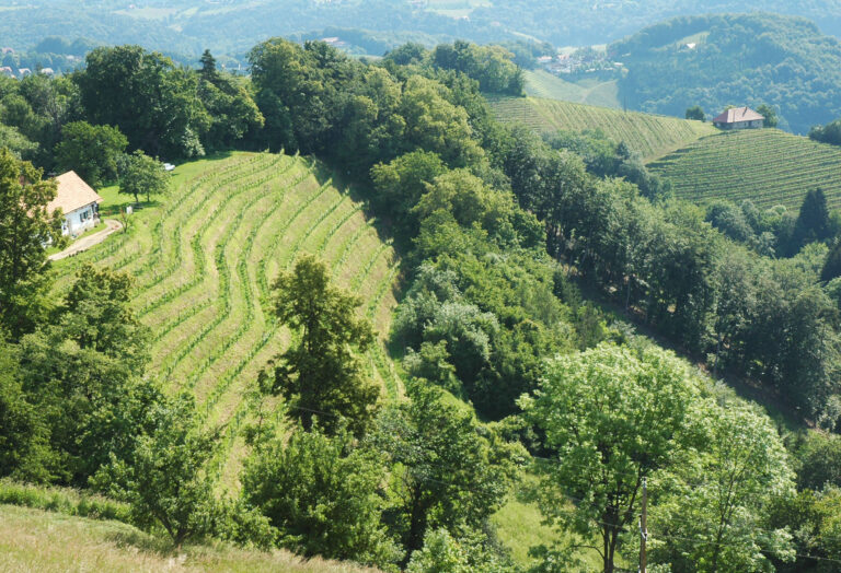 Steiermark