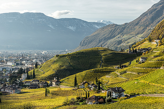 St. Magdalena og byen Bozen i Alto Adige. Foto: Südtirol Wein/Tiberio Sorvillo.
