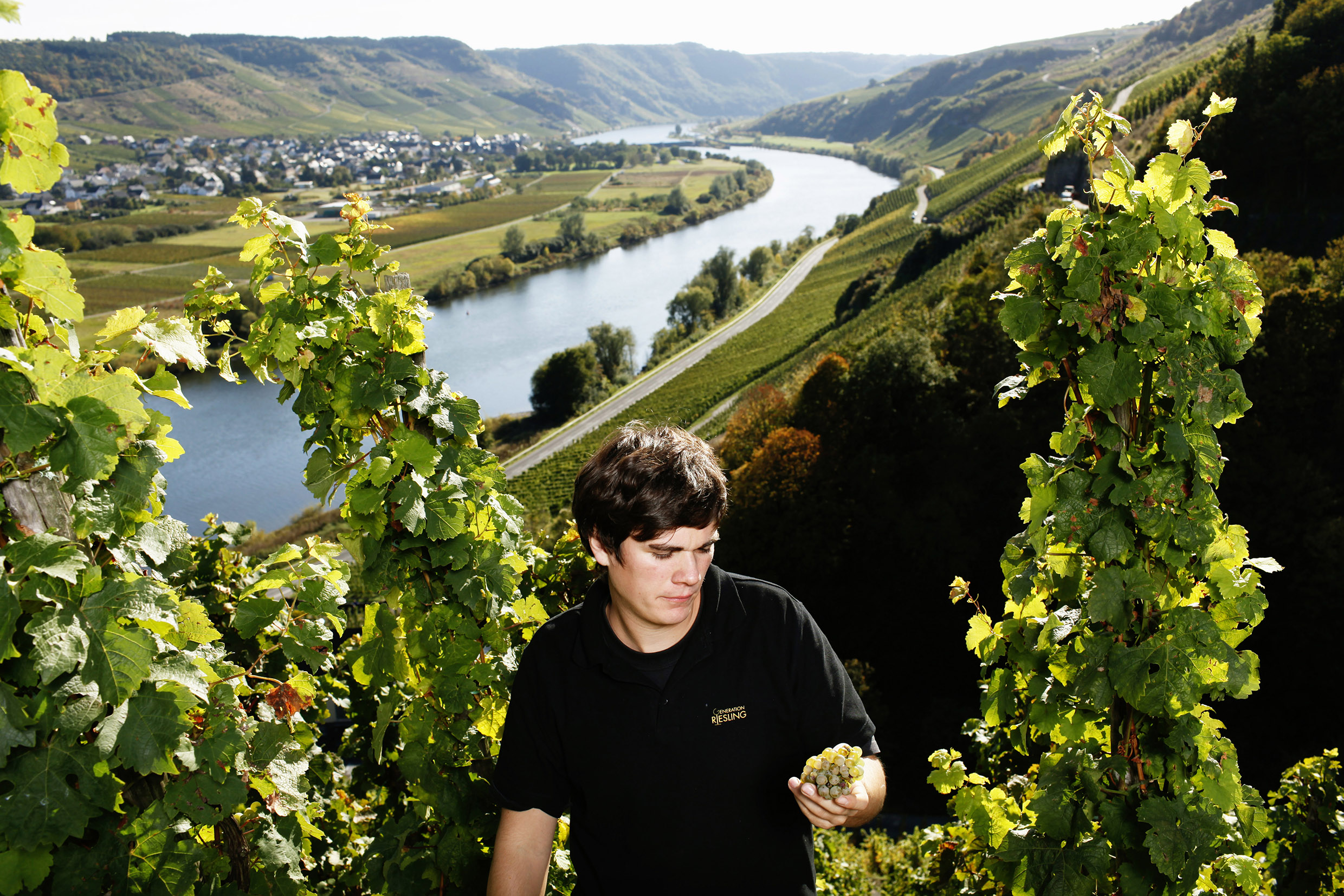 Matthias Meierer fra Weingut Klaus Meierer i Mosel i vinhusets vinmark med Riesling-druer. Foto: DWI.