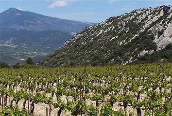 Ventoux har vokseværk